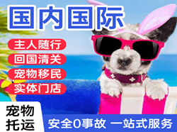 上海航空快运国际宠物托运 【国